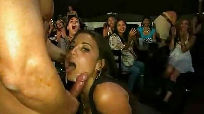 As raparigas melhores porno em hd mostram rata esbelta.